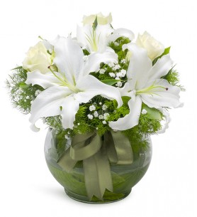 Vazoda Lilyum 2