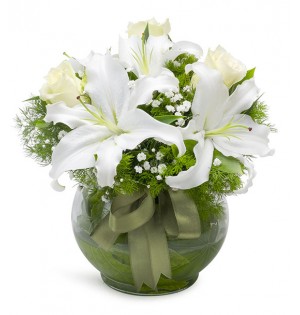 Vazoda Lilyum 2