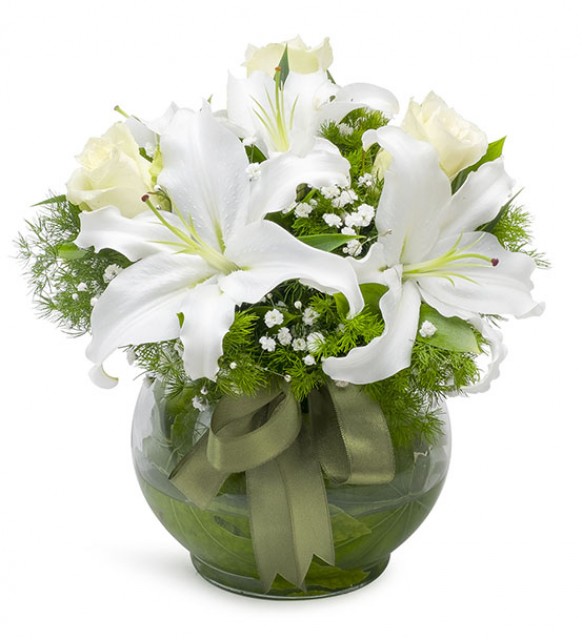 Vazoda Lilyum 2