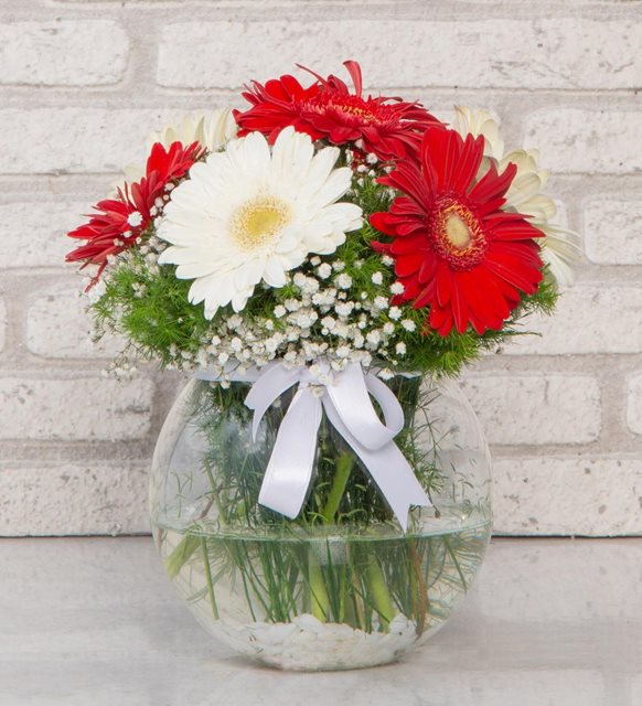 Vazoda Gerbera  2