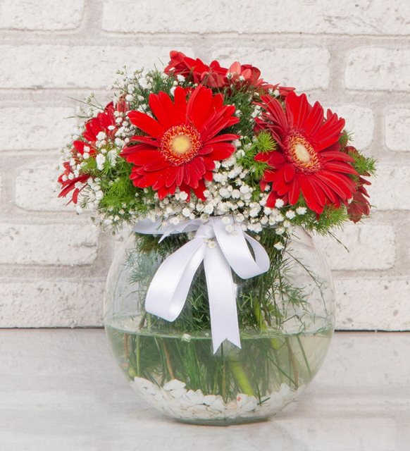 Vazoda Gerbera