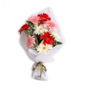 Renkli Gerbera Buketi