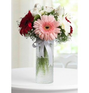 Vazoda Gerbera