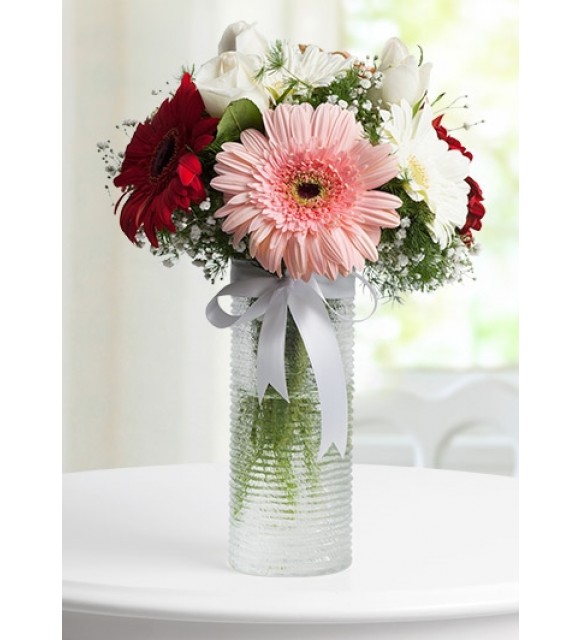 Vazoda Gerbera
