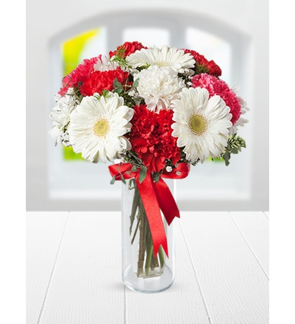 Gerbera Karanfiller 3